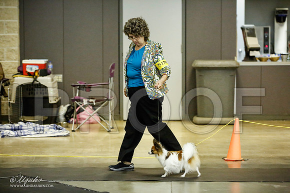 _JJ_5378-BeltonJan2015IABCA-HR3