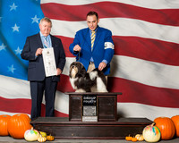 Havanese #15 Sat G4 Lybrand Susan B Agent Chase Waddell Judge Mr Richard H Mullen