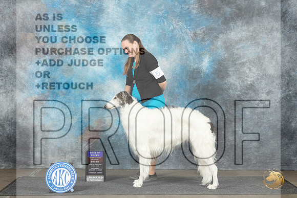 Borzoi #5 Sun BOBOHBOB Judge June Penta__JP_4150_Lubbock_2024_HR3