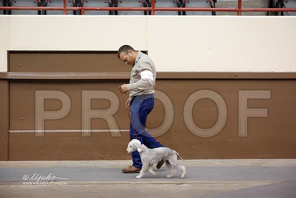 BedT-3809-SANov13-HR