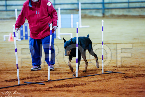 _RH_4021-MarshDec2014-HR