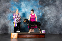 LCLD #129 Fri BIS Judge Lila Fast