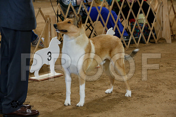 _N9A9567-GrgTwnFeb14