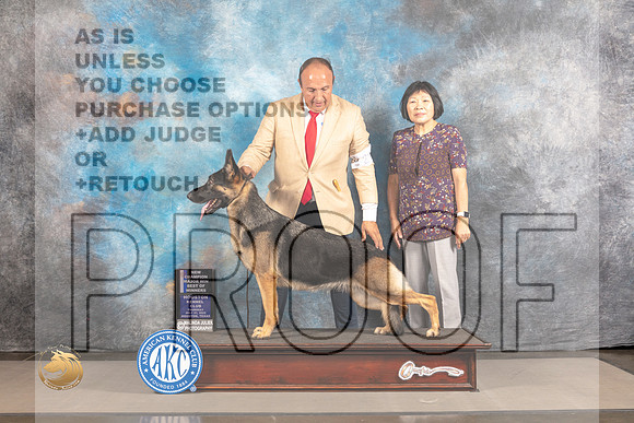German Shepherd Dog #20 THUR WBBOW Judge Polly Smith_MJ_3517_Houston_2022_HR3