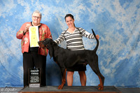 Black & Tan Coonhound #5 Sat G3 Mitchell Tracu & Amanda M Pillow Judge Ms Denny C Mounce +A1
