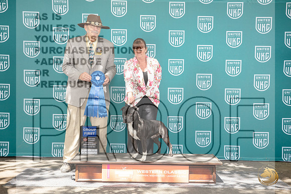 Staffordshire Bull Terrier #102 Fri G1 Judge Allan Krenek__JP_1844_Longview WA_2024_HR3