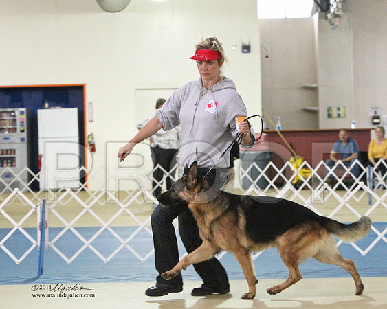 GSD-5309LR