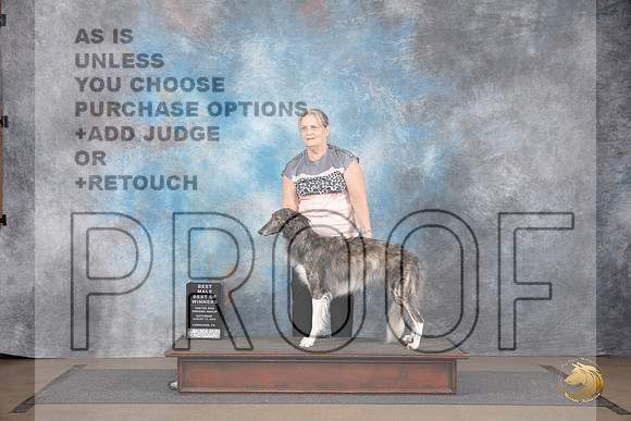 Silken Windhound #297 Sat BM BOW Judge Matthew Proctor__JP_2668_LongviewTX_2024_HR3