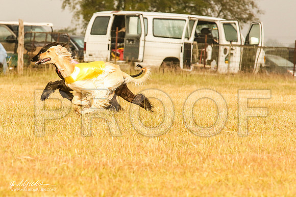 _MJ_3790-AfgBeltonOct2014-HR3