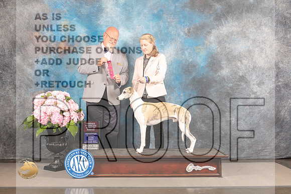 Whippet #11 FRI OHBOB Judge Jeffery Bazell_MJ_4845_Houston_2022_HR3