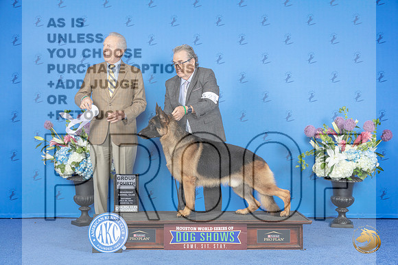 German Shepherd Dog #21 SAT G4 Judge James Moses__JP_0035_Houston_2024_HR3