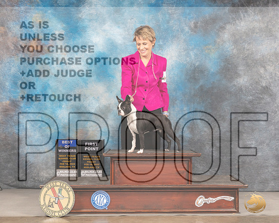 Boston Terrier #8 Fri BOW Judge Denny MounceMMJ_2905_Mdlnd2022_HR3