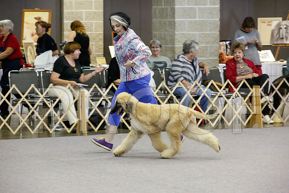 _JJ_1376-AfgBeltonOct2014-HR3