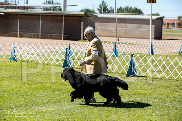 _JN_6859-AlamogordoOct2014-HR3