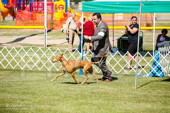 _JJ_5626-AlamogordoOct2014-HR3
