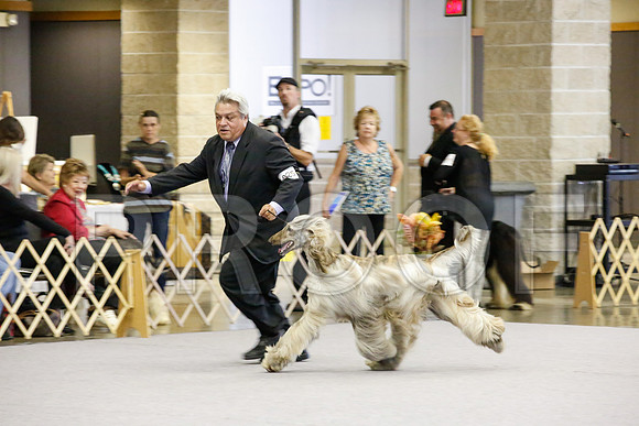 _JJ_1195-AfgBeltonOct2014-HR3