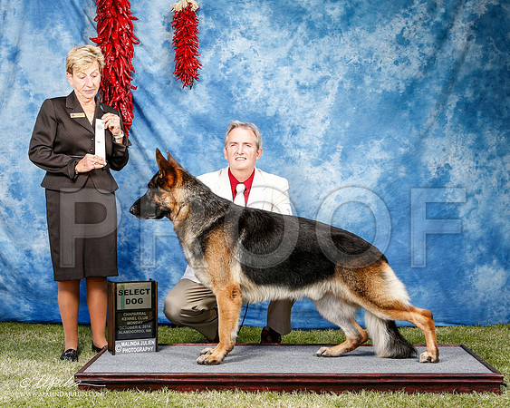 _ST_3675-2-AlamogordoOct2014-HR3