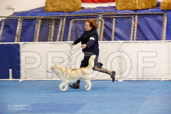 _M3_1191-AddisonHuskyMar2015-HR3