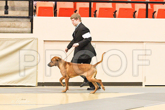 Ridgeback-9215LR