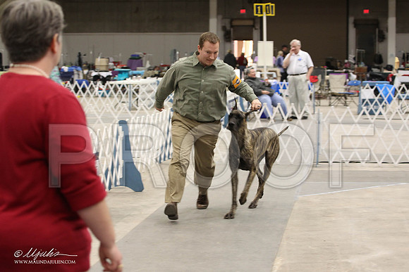 IMG_9303-Abilene2011-HR3