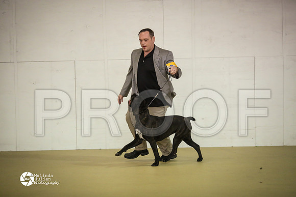 Cane-7412-HtoJan14-HR