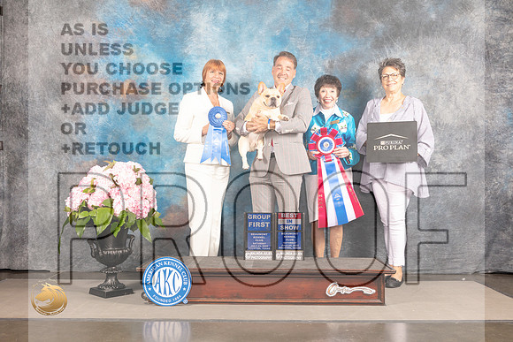 French Bulldog #7 Sat G1 Judge Linda Hurlebaus_MJ_7390_Houston_2022_HR3