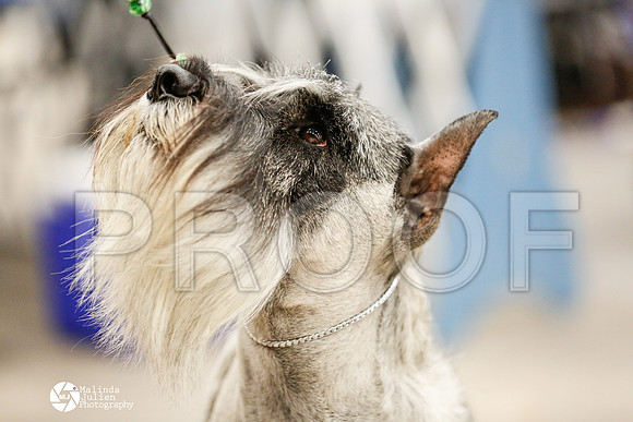 _RH_2067-AblnMay2014-web