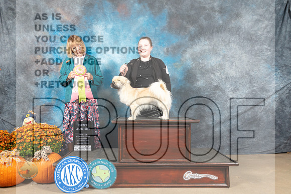 Tibetan Spaniel #J400 Sat BJr Judge Shelley Hennessey_MJ_5789_Belton_2022_HR3