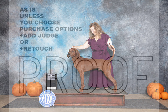 Redbone Coonhound # Fri G4 Judge Cathy Daughtry__JP_9189_Humble_2024_HR3