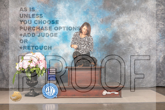 Dachshund Long Haired #18 SUN WB Judge Polly Smith_MJ_8200_Houston_2022_HR3