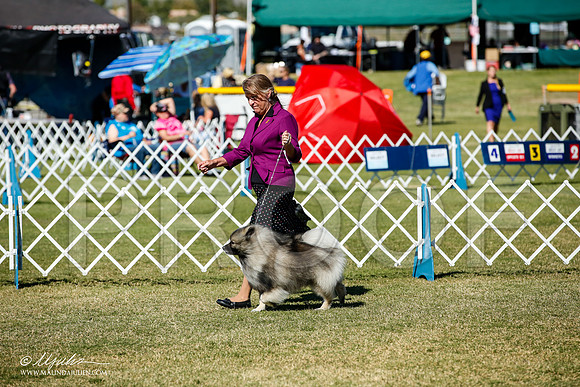 _JJ_1596-AlamogordoOct2014-HR3