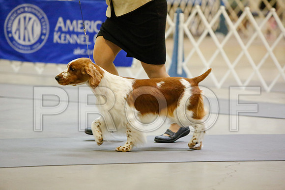 _JJ_2558-AmarilloSept2014-HR3