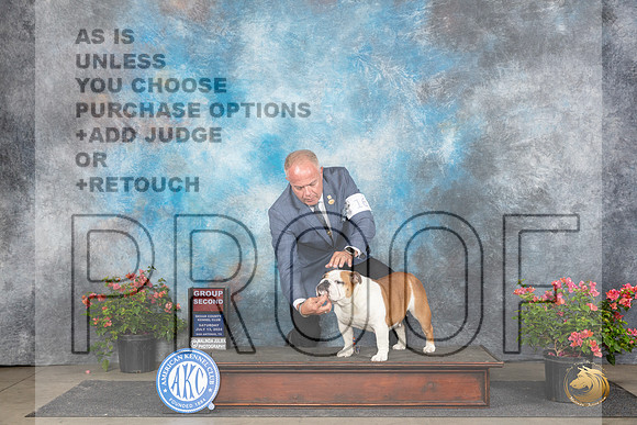 Bulldog #16 Sat G2 Judge Karen McFarlane__JP_5558_San Antonio_2024_HR3