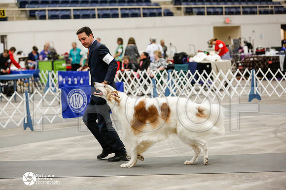 _RH_1771-AblnMay2014-web
