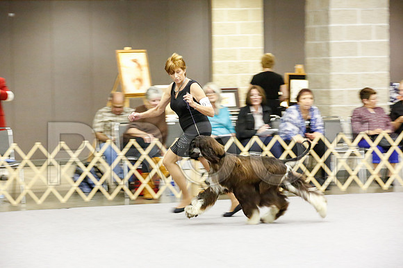 _JJ_9676-AfgBeltonOct2014-HR3