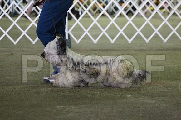 MJS_7379