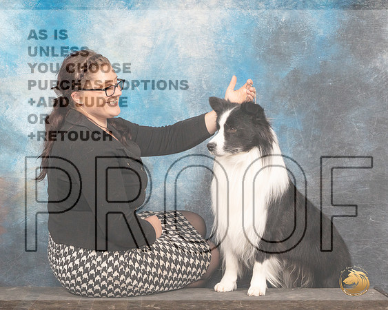 Border Collie #11 Thurs Jodie KeenerMMJ_2756_Mdlnd2022_HR3