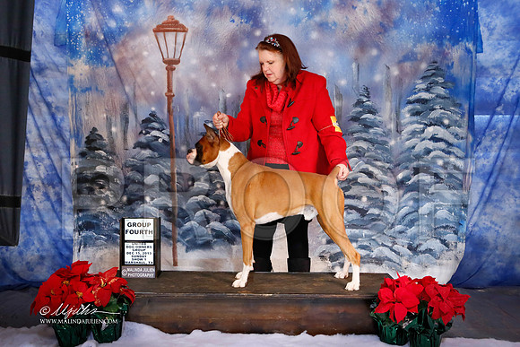 boxer-6395-MrshlDec13-HR