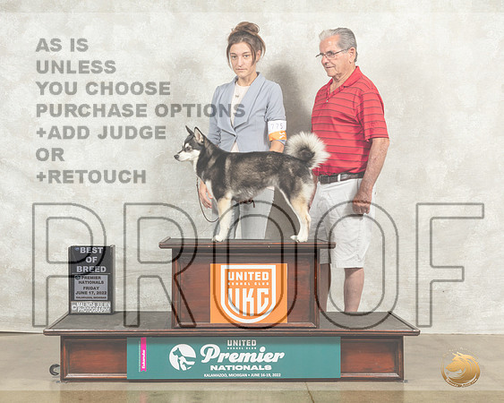 Alaskan Klee Kai #775 Fri BOW Judge Jeanne Heger__MJ_7734_Premier_2022_HR3