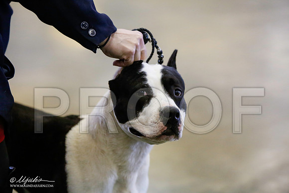 _LH_3498-BeltonJan2015-HR3