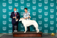Silken Windhound #20 Wed RCH Judge Stanley Matsumoto
