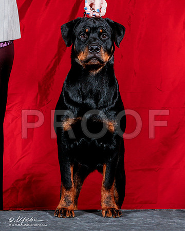 _ST_1771-2-AmarilloSep2014-HR3