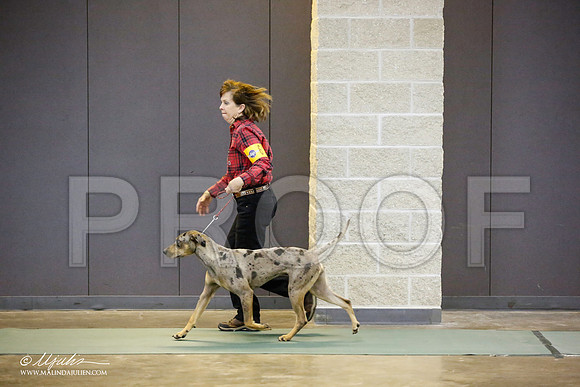 _JN_3236-BeltonJan2015-HR3