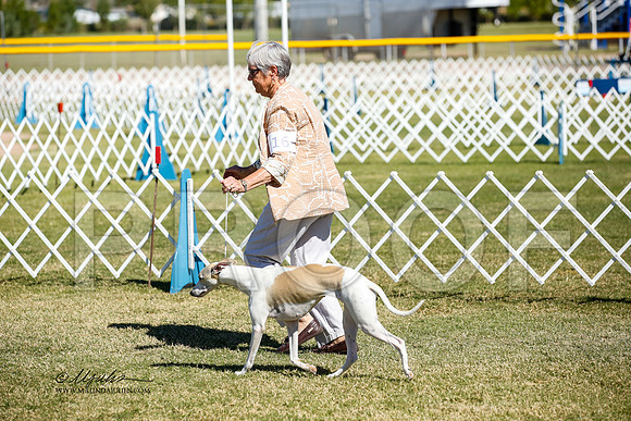 _JJ_2898-AlamogordoOct2014-HR3