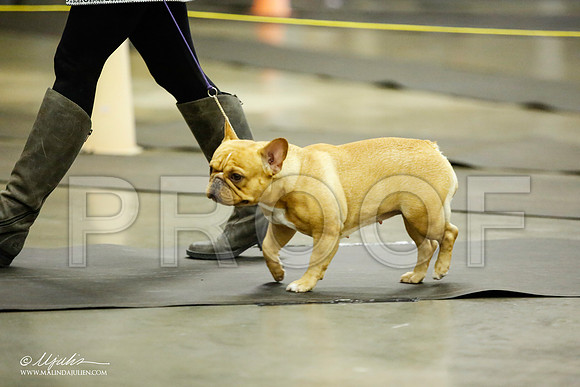_JJ_5587-BeltonJan2015IABCA-HR3