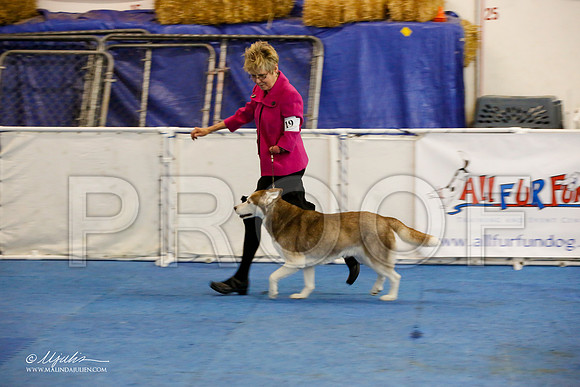 _M3_9104-AddisonHuskyMar2015-HR3