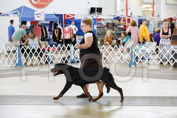 _HR_4289-DallasJul2014-HR3