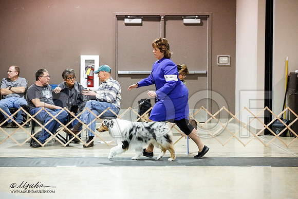 _JJ_1747-ASCACollegeStationNov2014-HR3