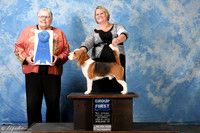 Beagle 15in #5 Sat G1 Ayala Brooke and Rudy Ayala III and Rebecca Dirksen Judge Denny C Mounce