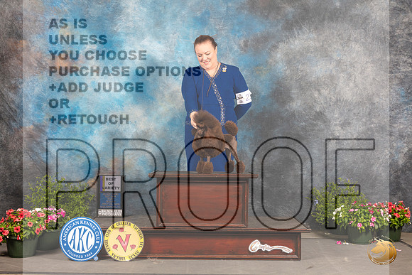Poodle Toy #25 Fri BOVNGCh Judge Robert Shreve_MJ_0467_SA_2022_HR3